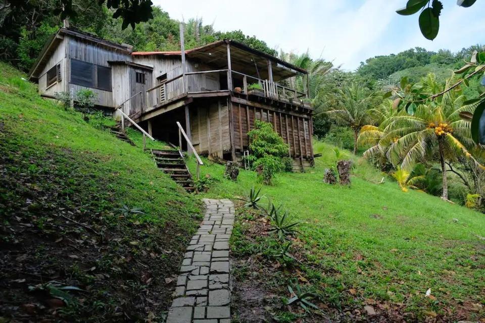 Guanaja Backpackers Hostel Kültér fotó